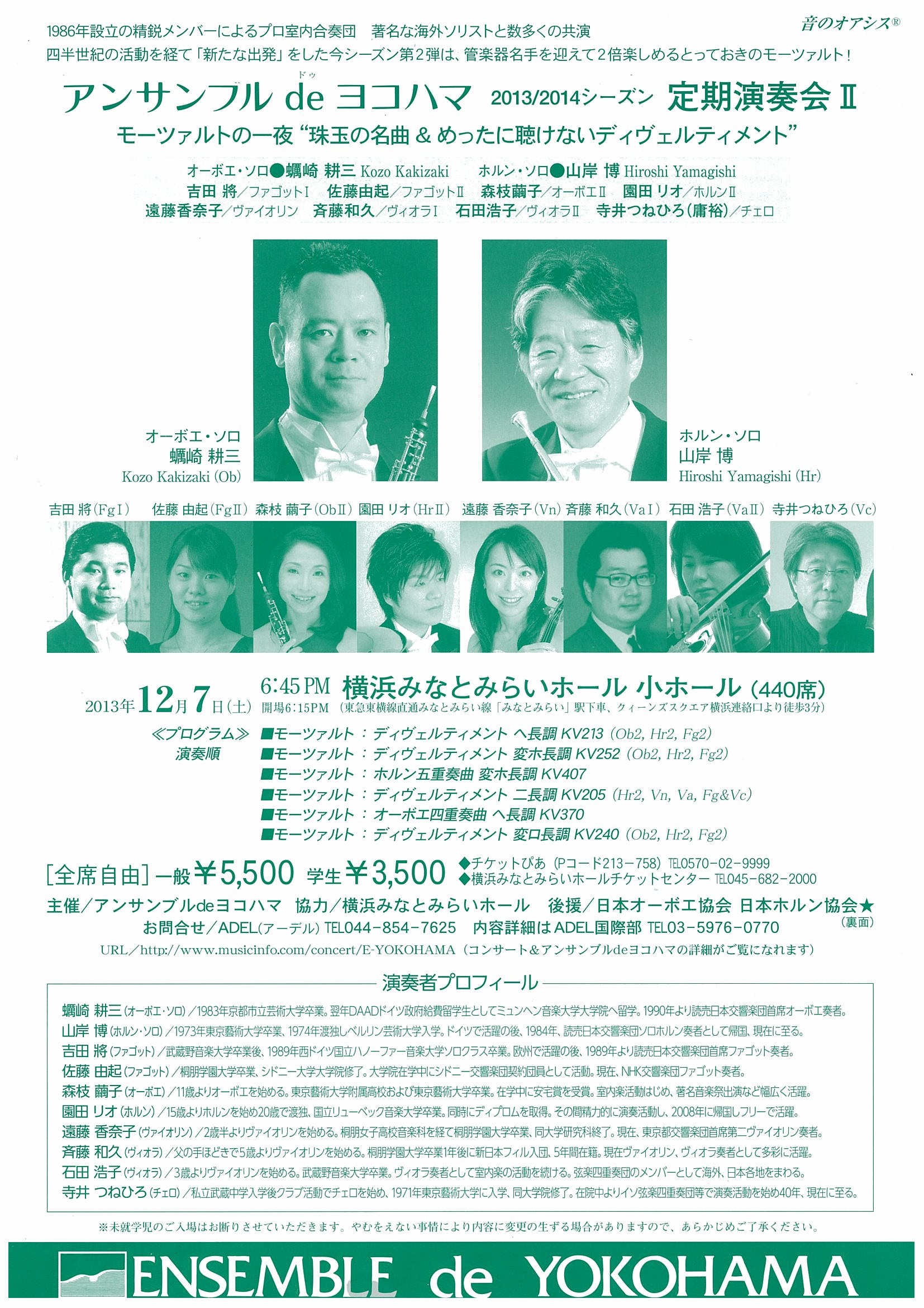 flyer/20131207kakizaki.jpg